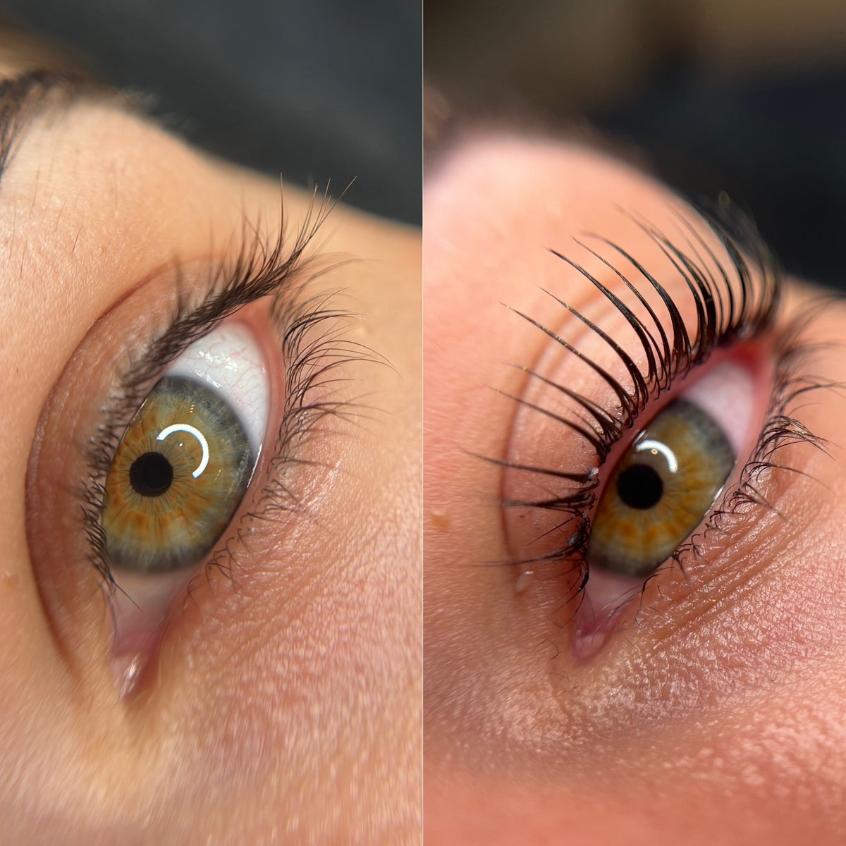 KOREAN LASHLIFT KURS